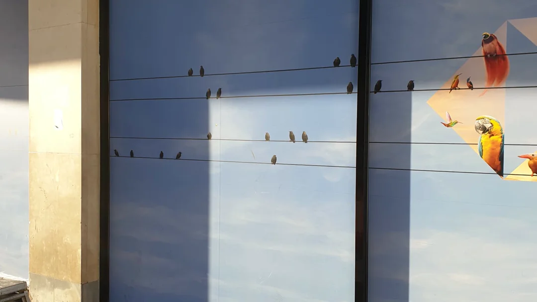 HSBC Liverpool shop front frames after recoating by Vanda Coatings, dark finish with window graphics intact