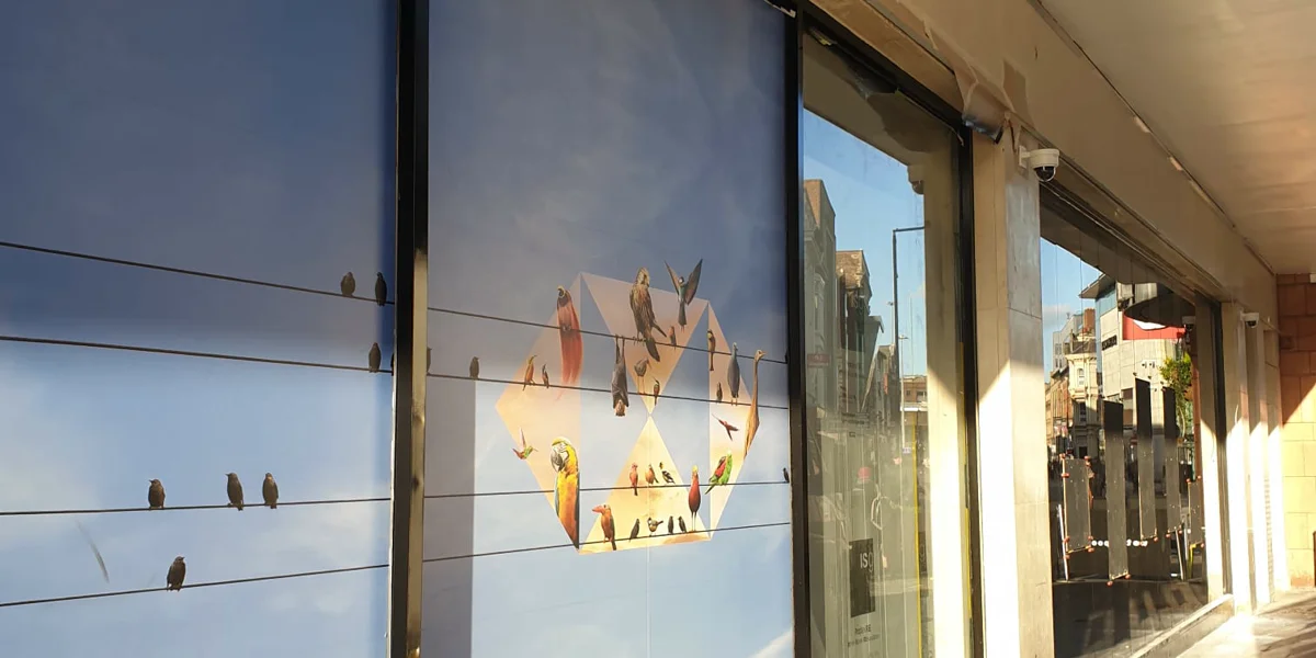 HSBC Liverpool shop front after frame recoating by Vanda Coatings, dark aluminium frames